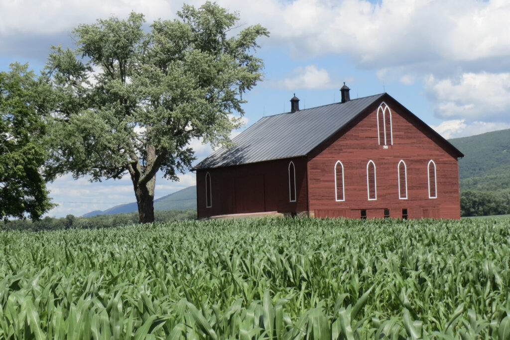 The Barn 2024_1900 Red Barn